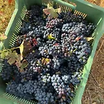Finca Valdelajara